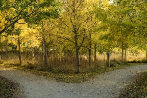 Road Not Taken