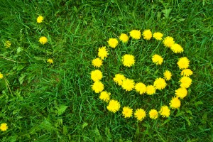 Pursuit of Happiness