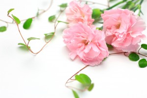 Feb it is love