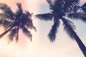 California Connection