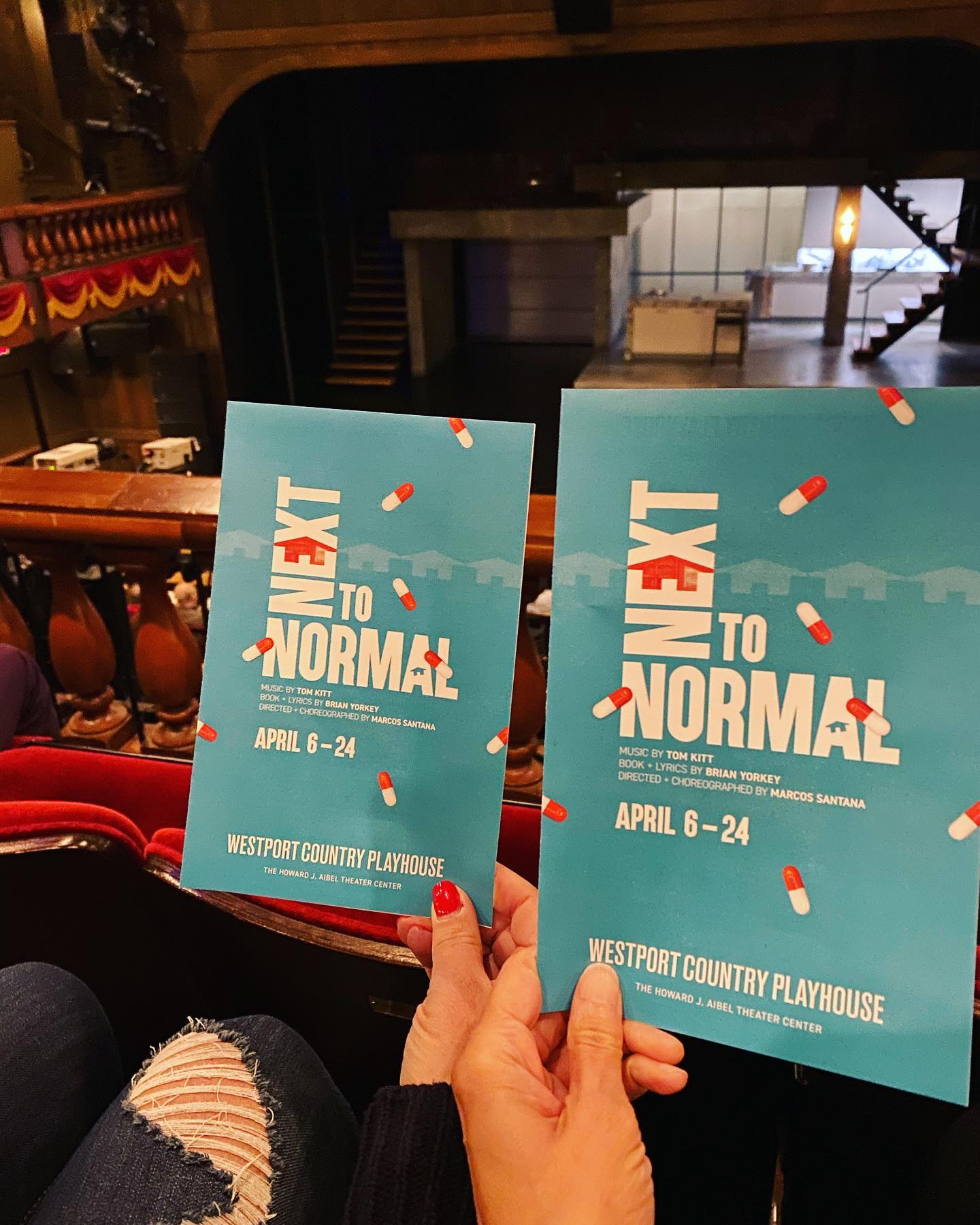 The only drawback to seeing the closing performance of Next to Normal @wcplayhouse is that @jengansblankfein and I can’t tell you to run out and see it! Everything else was fabulous. What a cast! Looking forward to the whole season, so happy to be a subscriber!!! #westportcountryplayhouse #musicaltheatre #localtheatre #theatrelover #musicaltheatrelover #nycadjacent #westportct #funwithfriends