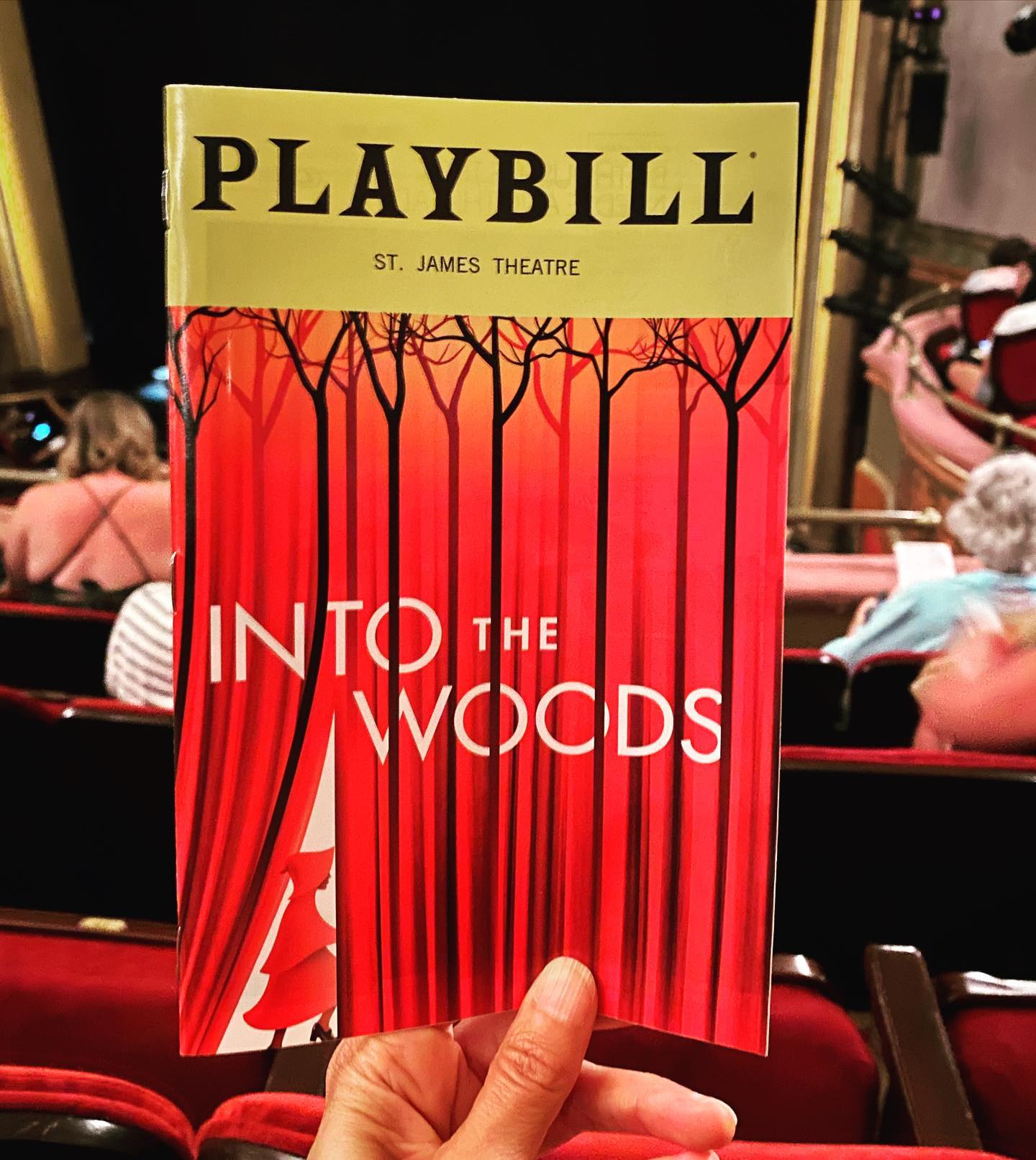 Swoon, swoon, swoon! This @intothewoodsbroadway is heavenly! #intothewoods #broadwaymusical #nyctheatre #broadway #sondheim #theatremagic #ilovetheatre #talentfordays #moretosay