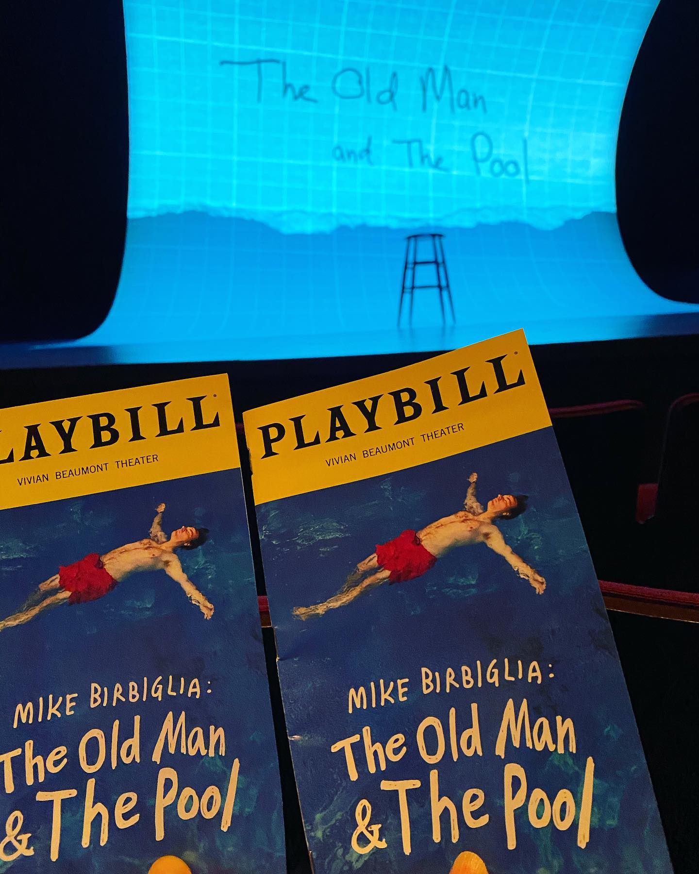 @birbigs always take you on a surprising, hilarious, inquisitive journey. And I am always SO happy to be on that ride! ❤️ It is a #comedyshow and #storytelling and #soloperformance and more. #theoldmanandthepool #mikebirbiglia #birbigs #nyctheatre #vivanbeaumonttheater #lincolncenterstage #workingitoutpodcast